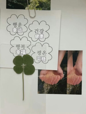 聊天背景/壁纸