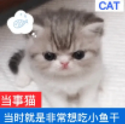 图源pin