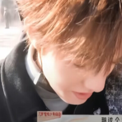 极禹