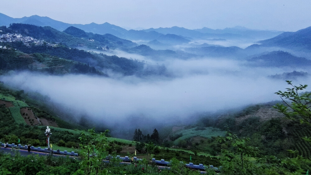 雾锁沟壑：歙县坡山四季海生态农庄