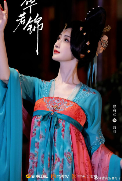 韶华若锦