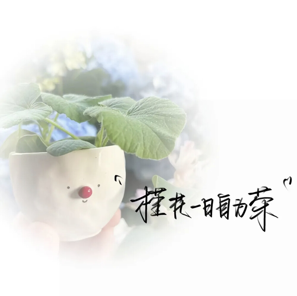 背景