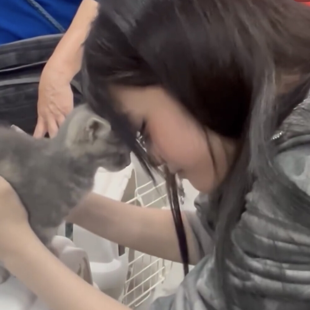 诚心向我小猫神