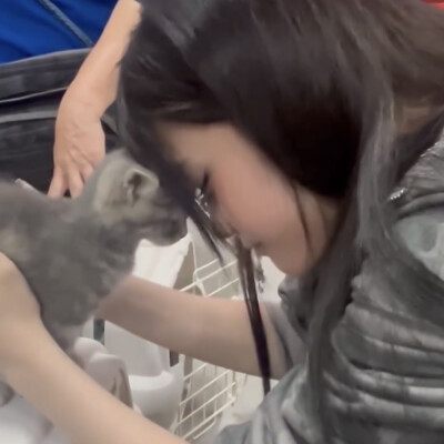 诚心向我小猫神