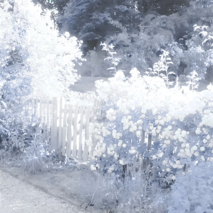 时间按了暂停键—Indifferent plot◁▷