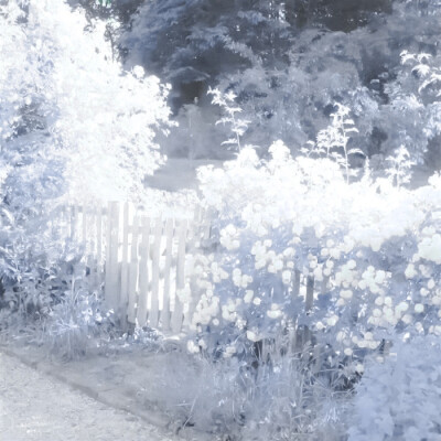 时间按了暂停键—Indifferent plot◁▷