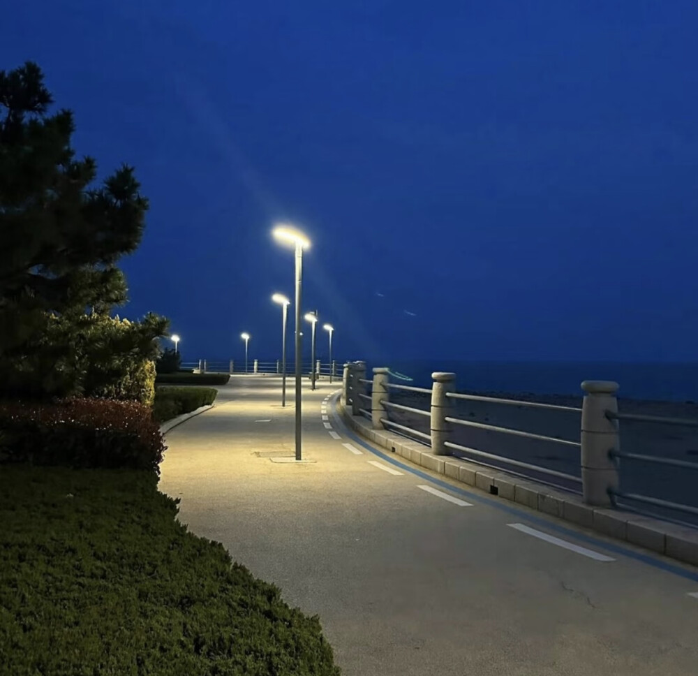 来改这只珉郁小猫 注朝清