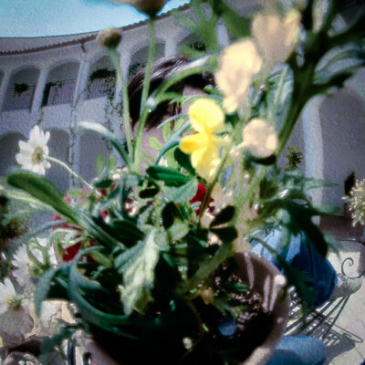 Daisy...kitten...and naive you