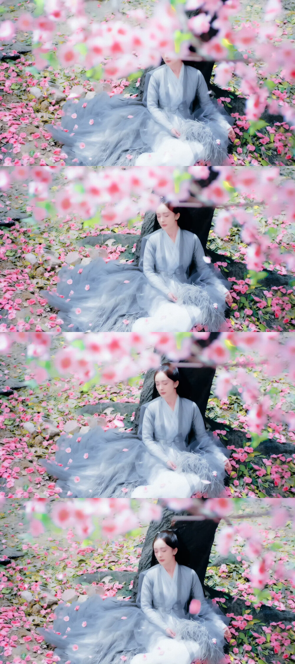 三生三世十里桃花