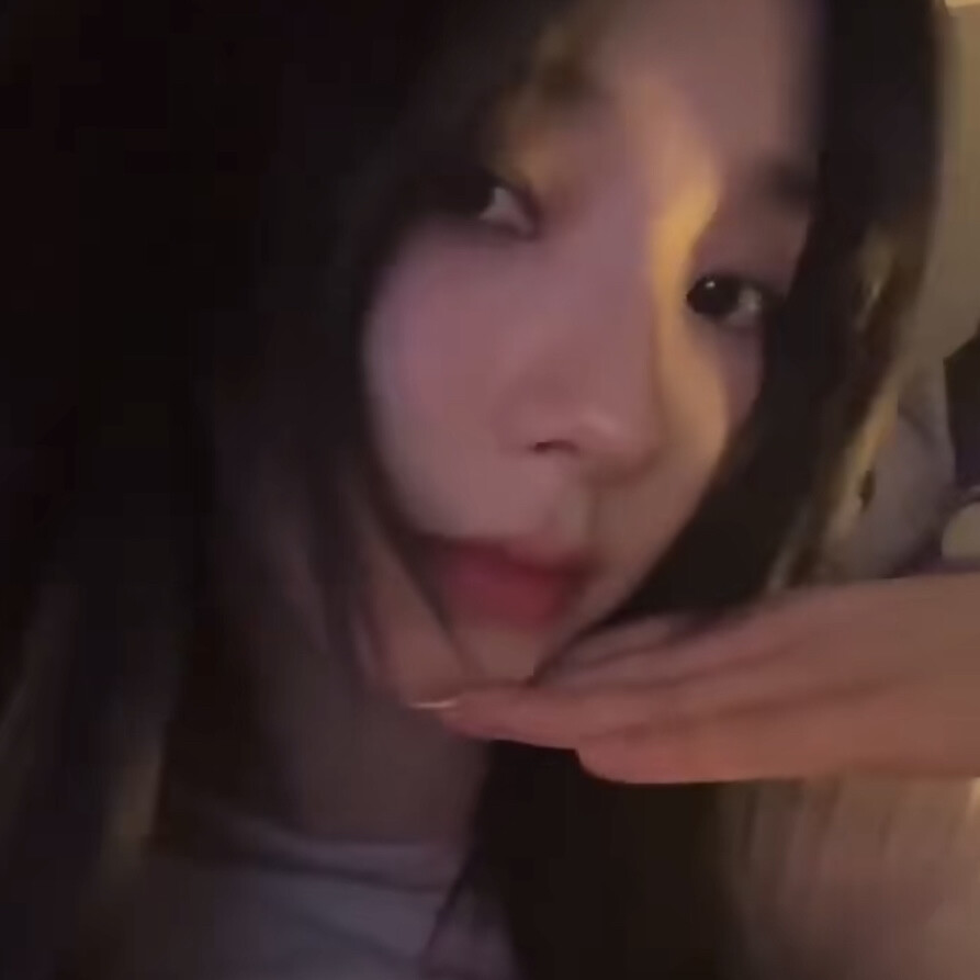 北极狐进入了我的冬天