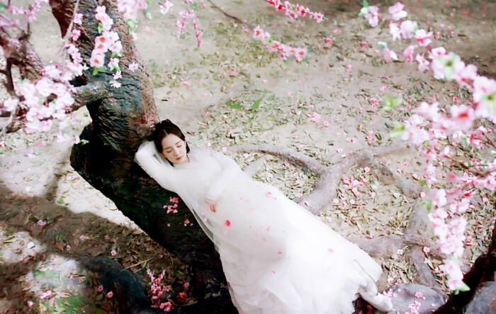 三生三世十里桃花