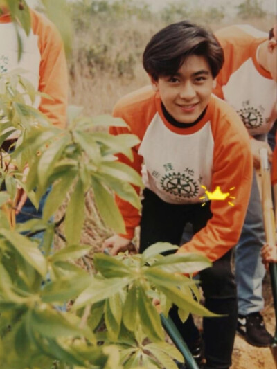 林志颖早期帅图