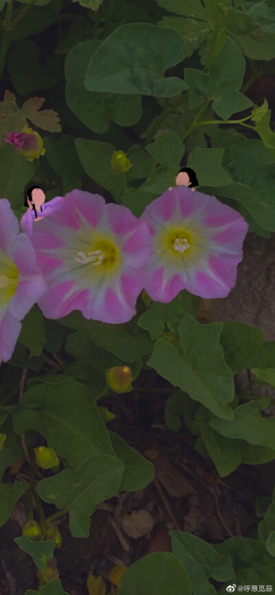 by