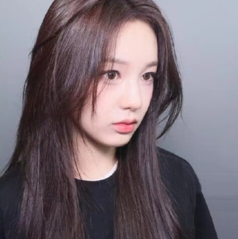 狗狗