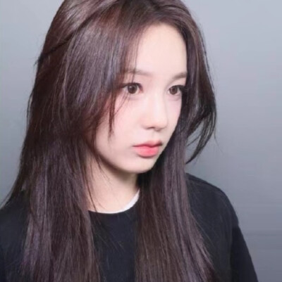 狗狗