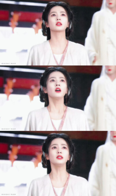 临江仙｜花如月
cr：青九吹寒_