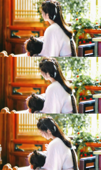 临江仙｜花如月
cr：青九吹寒_