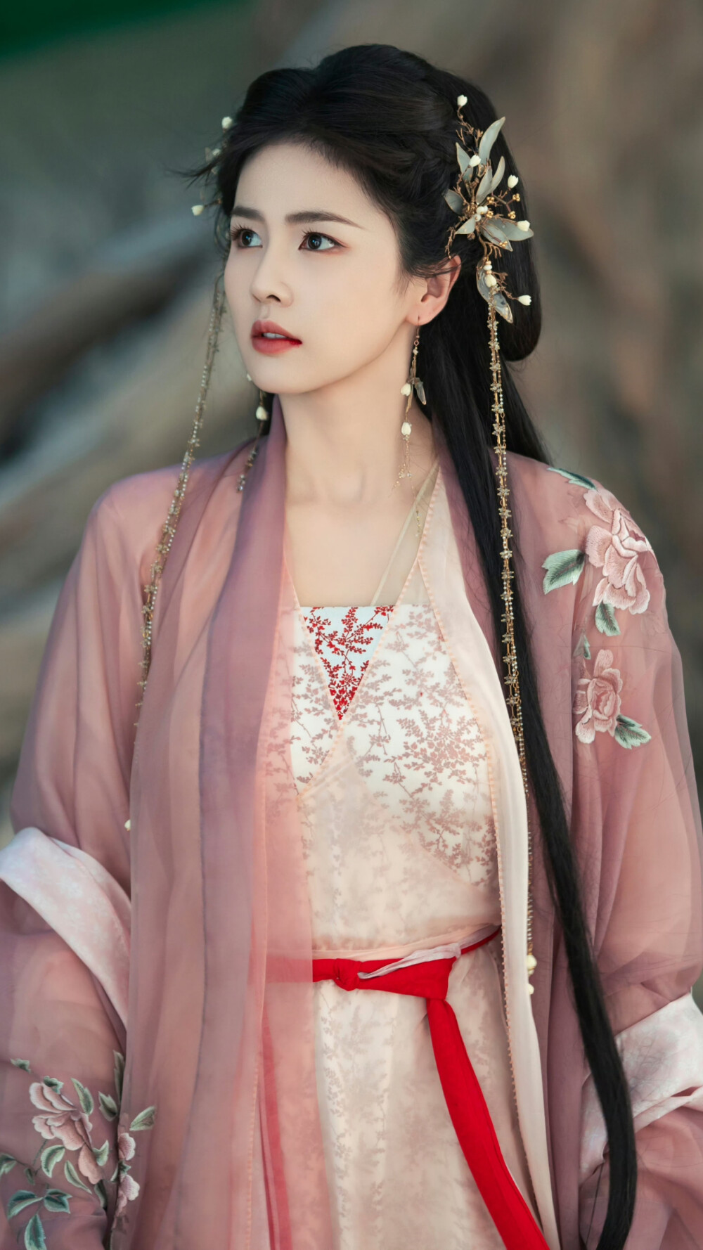 临江仙 李青月 花如月 白鹿