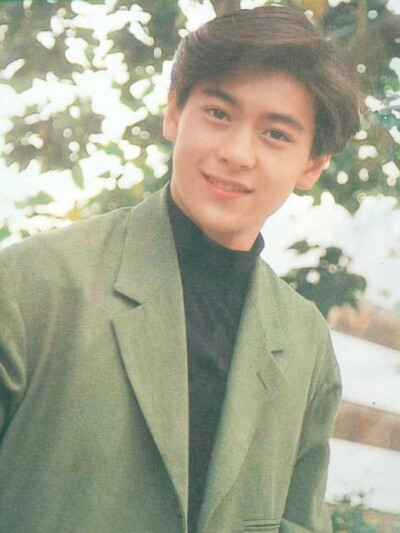 林志颖早期帅图