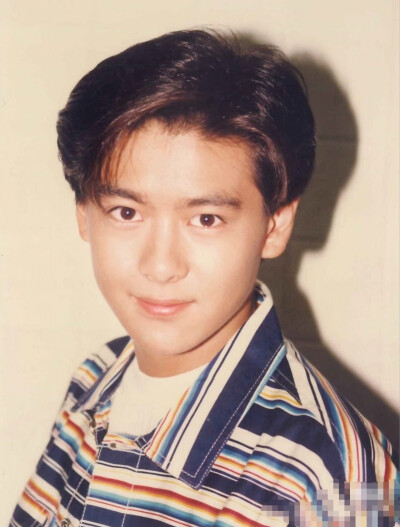 林志颖早期帅图