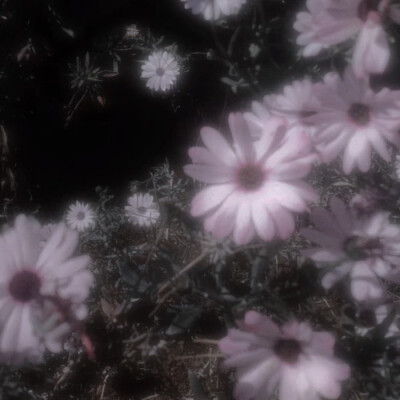 小天使傅芷颂我的 美丽…！