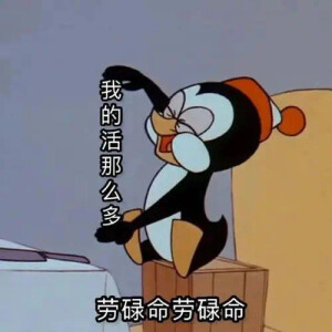 表情包