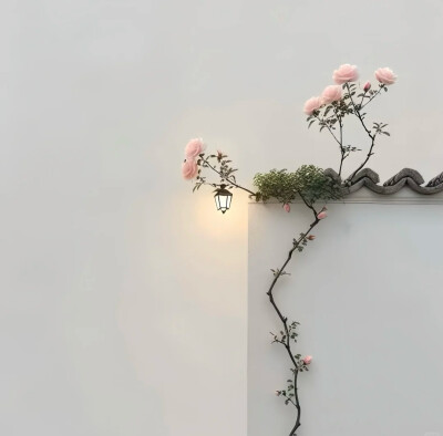 壁纸