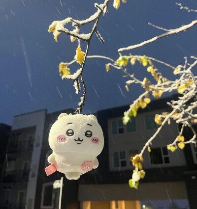 朋友圈背景图