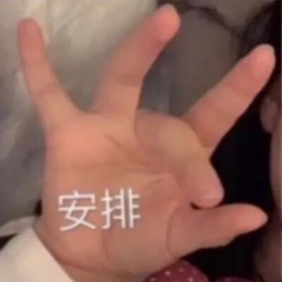 表情包
