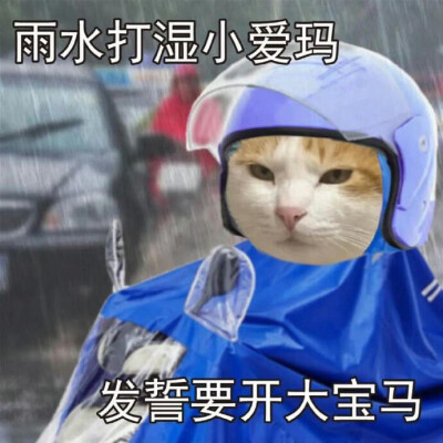 表情包