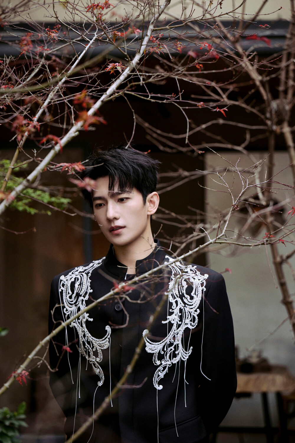 杨洋