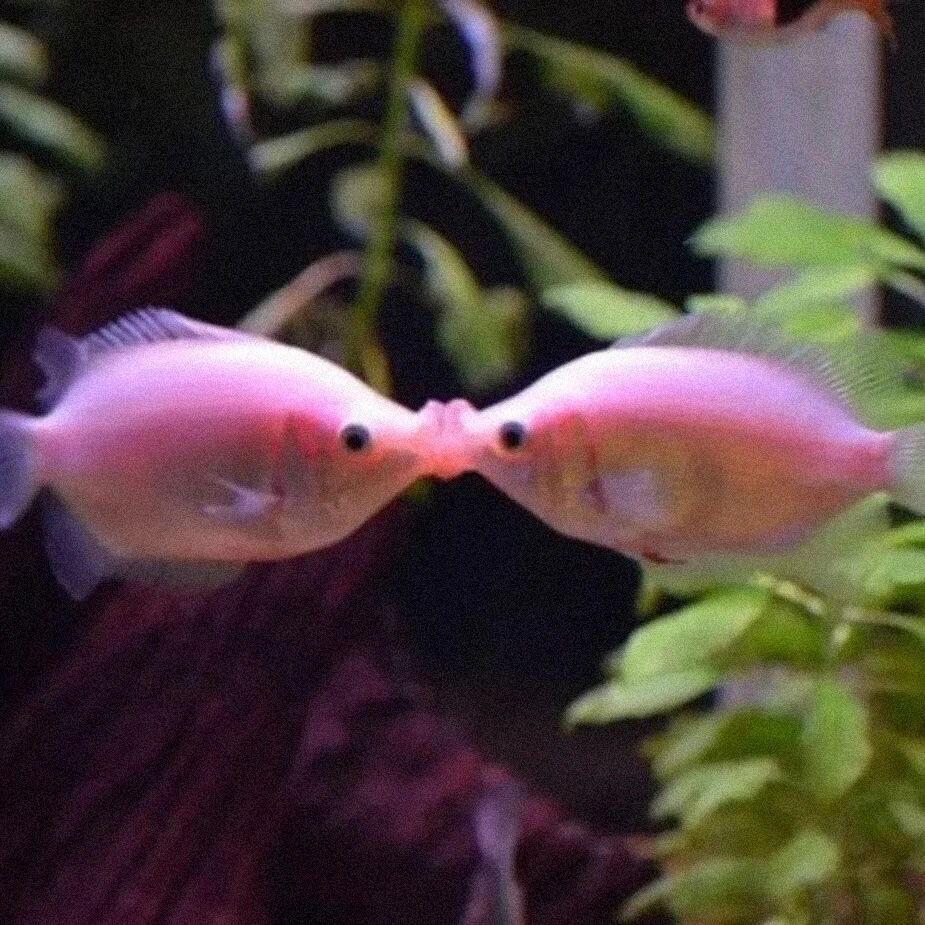 ‎#ليس قوة خارقة