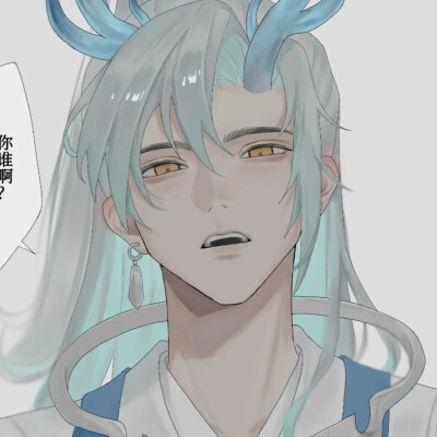 美
