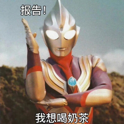 表情包
