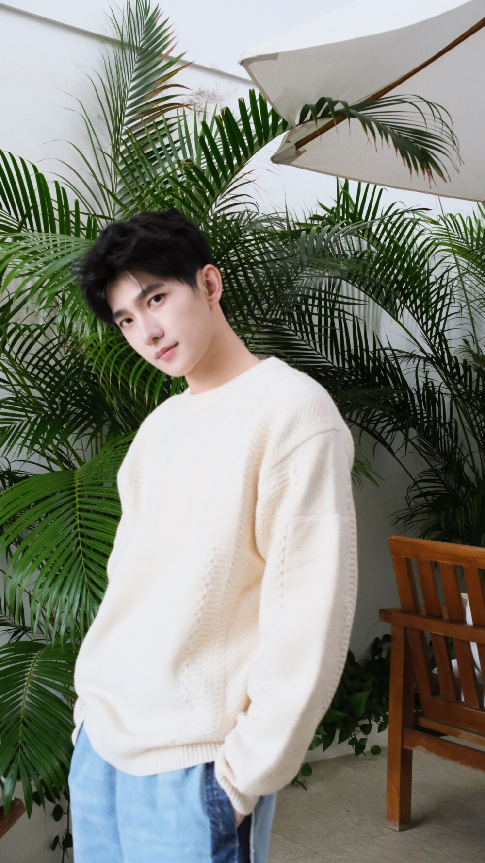 杨洋
