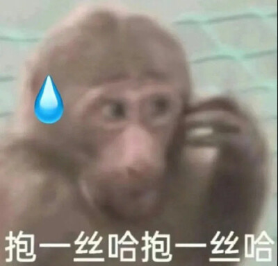 表情包
