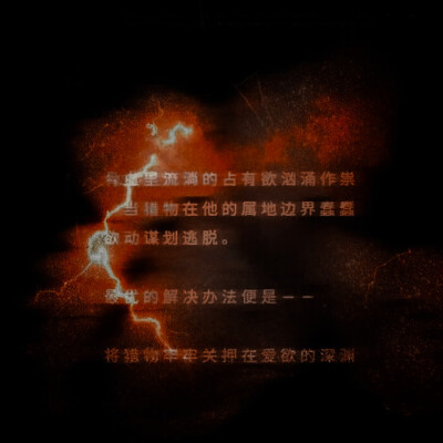 Our souls ：《点燃了的荒野》+