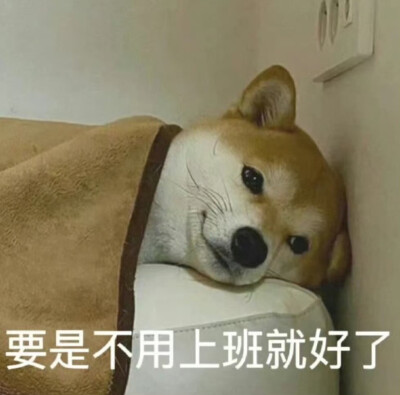 表情包

