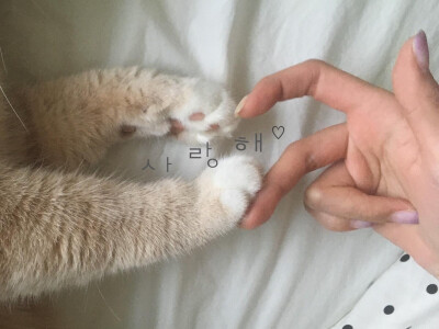 女头