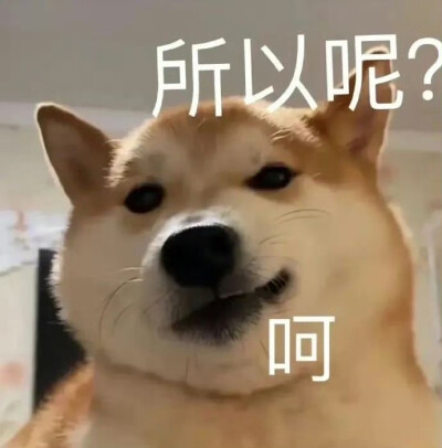 表情包
