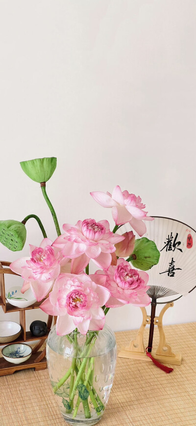 莲