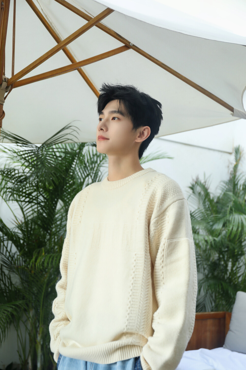 杨洋