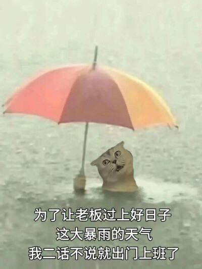 表情包