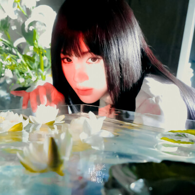鞠婧祎