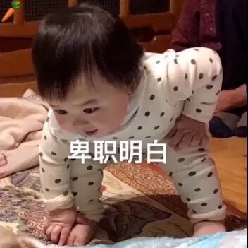 表情包
