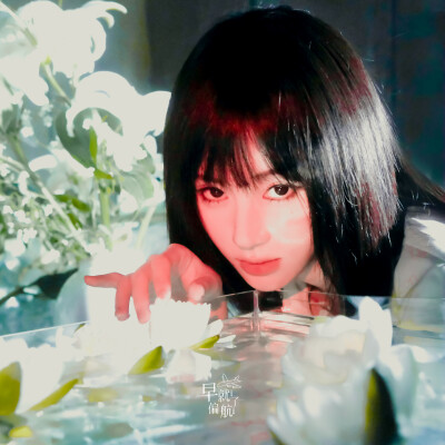 鞠婧祎