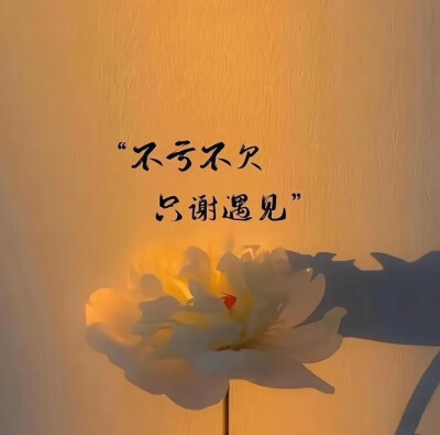 “人生本就是一场马不停蹄的相遇与告别， 我知道，有花开，就一定有花落。”