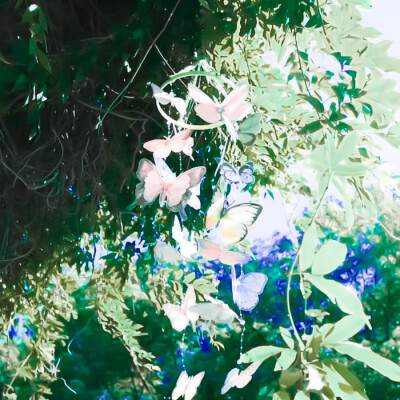 薄荷恋*_张元英