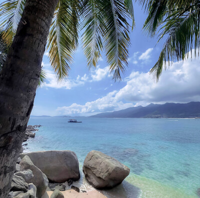 心动一下，心动一夏，心动一下又一夏