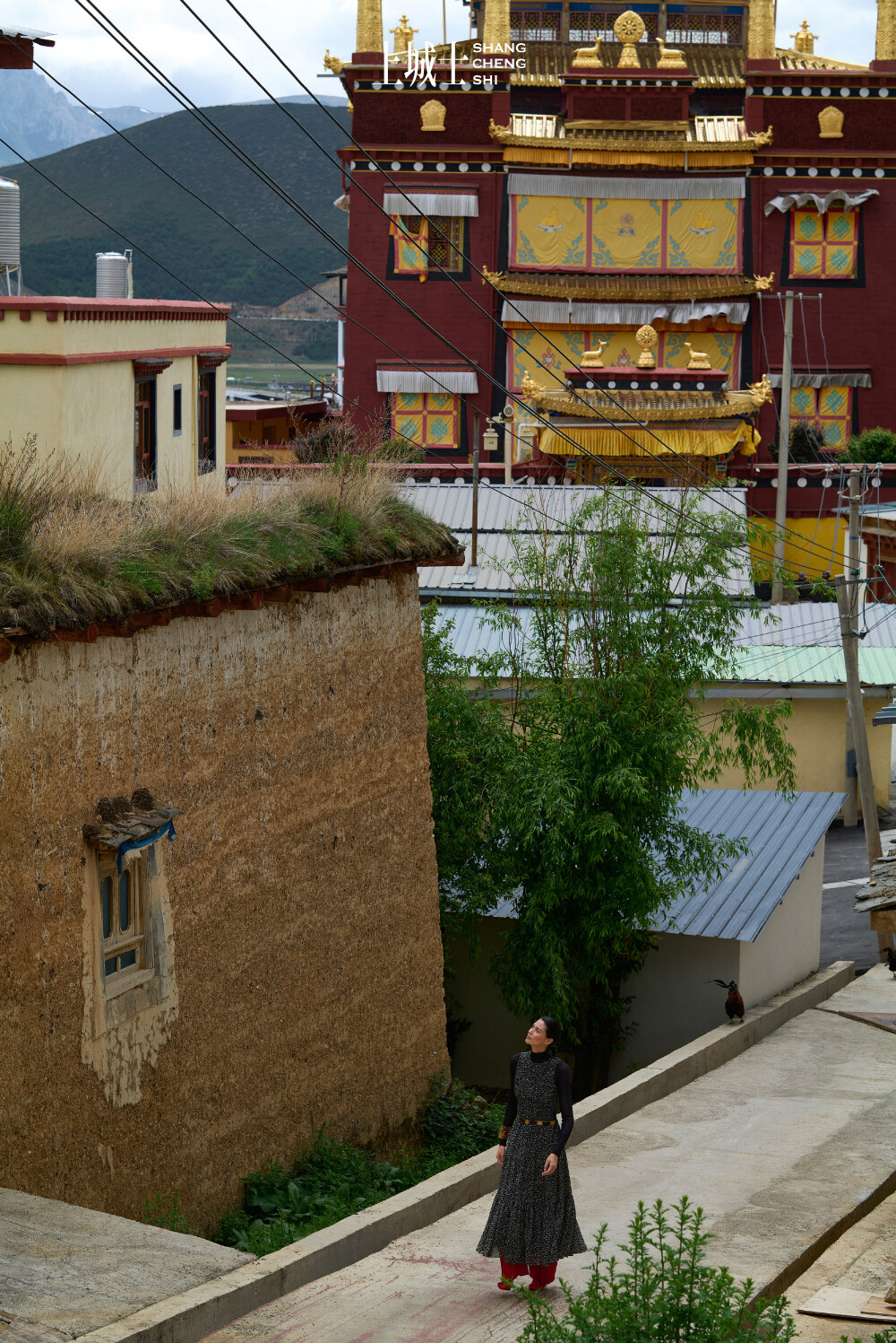 王雯琴，香格里拉心途录
上城士途中风物
场地：松赞林景区，松赞香格里拉林卡，松赞绿谷山居 ​​​